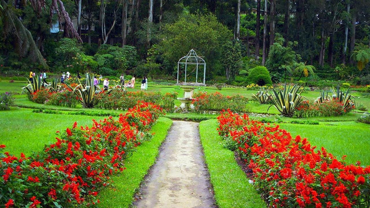 Panorama Green View Hotel Nuwara Eliya Exterior foto